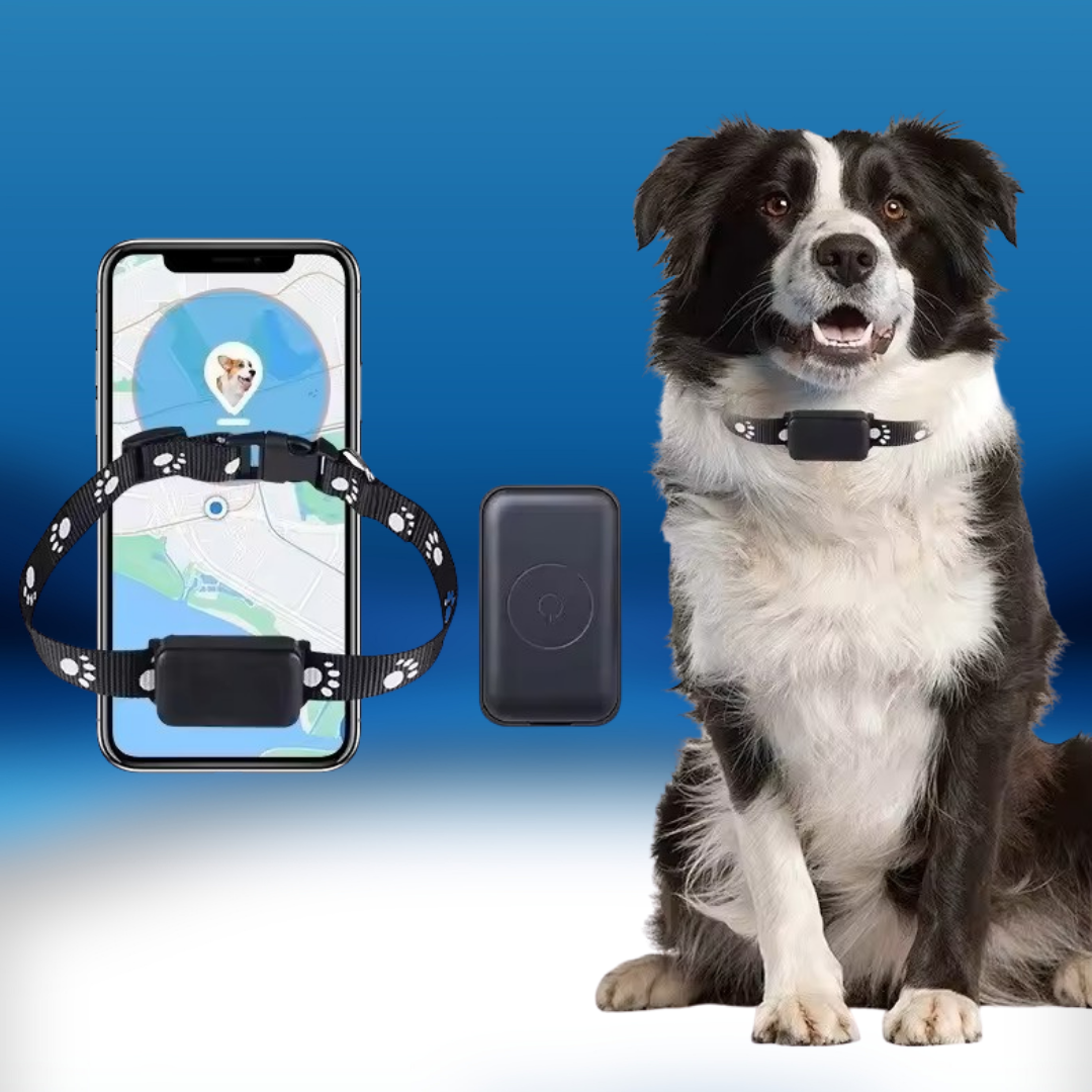 PawTrace – Collier GPS Intelligent pour Chiens & Chats