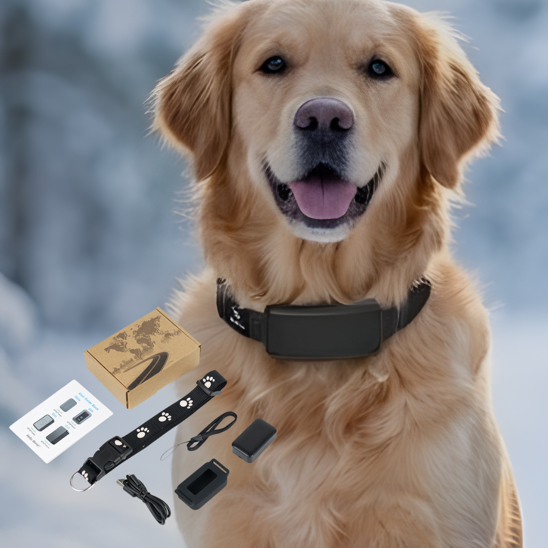 PawTrace – Collier GPS Intelligent pour Chiens & Chats