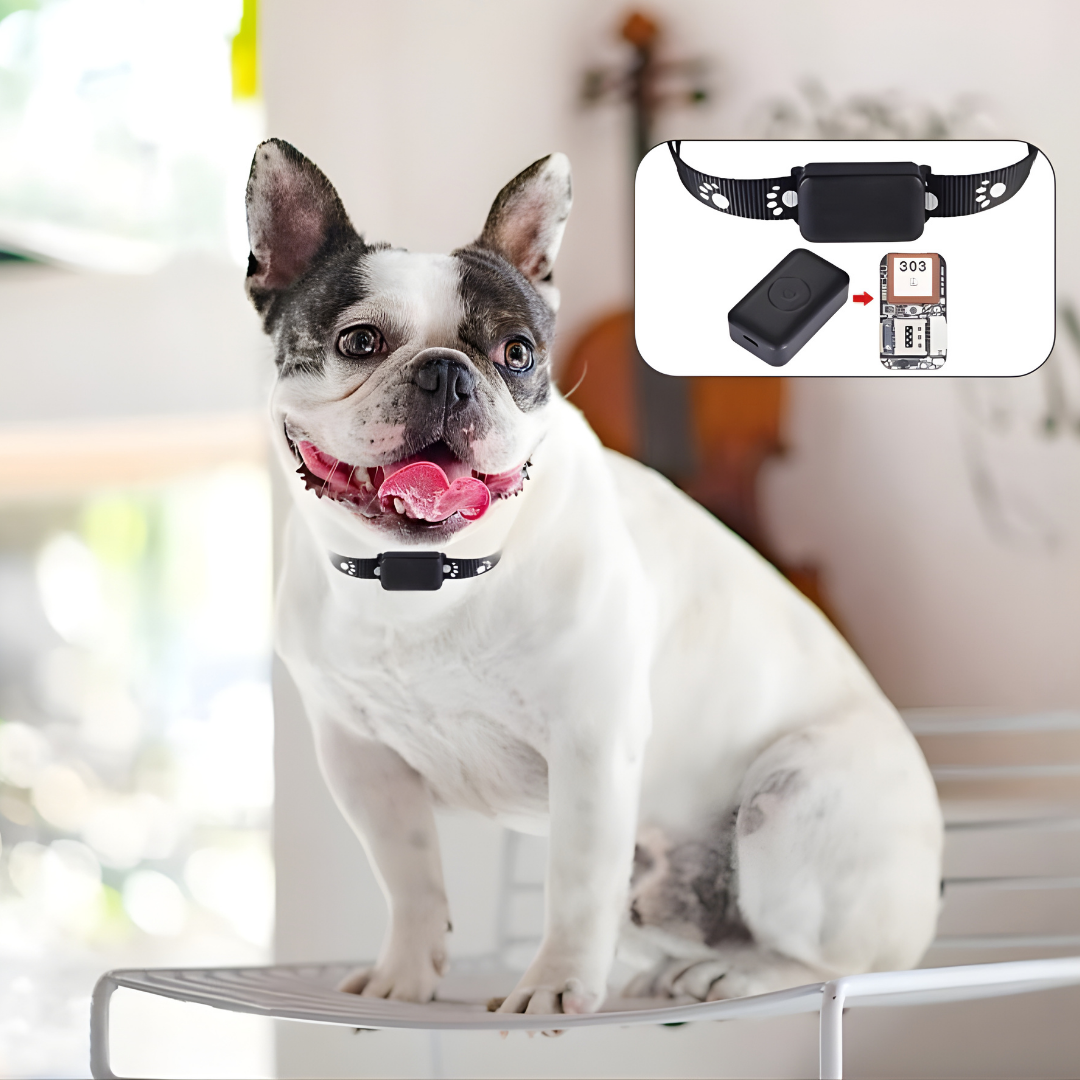 PawTrace – Collier GPS Intelligent pour Chiens & Chats