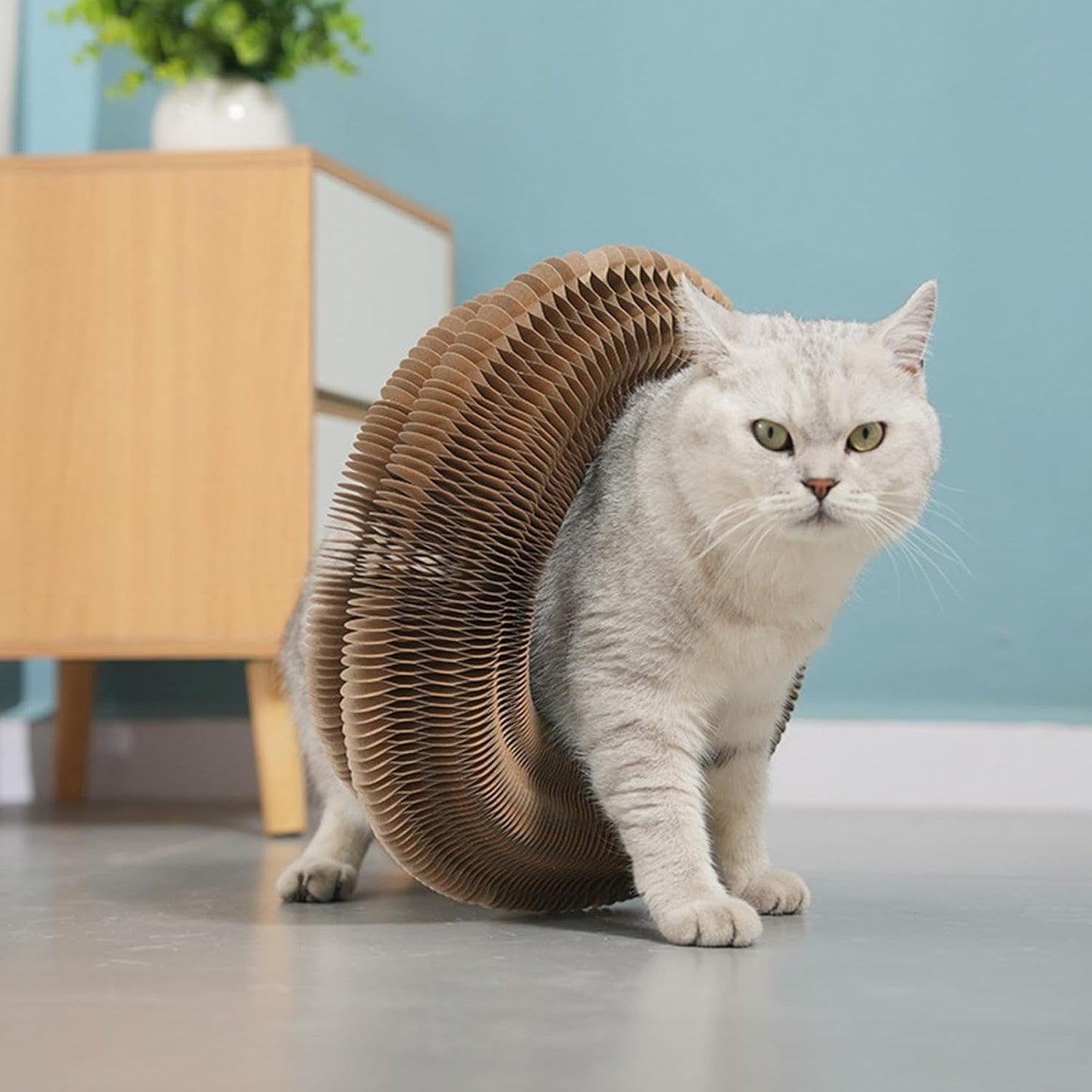 FéliSpin - Jouet Ludique et Relaxant pour Chats