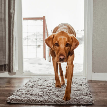CleanPaw – Tapis Ultra-Absorbant pour Entrée