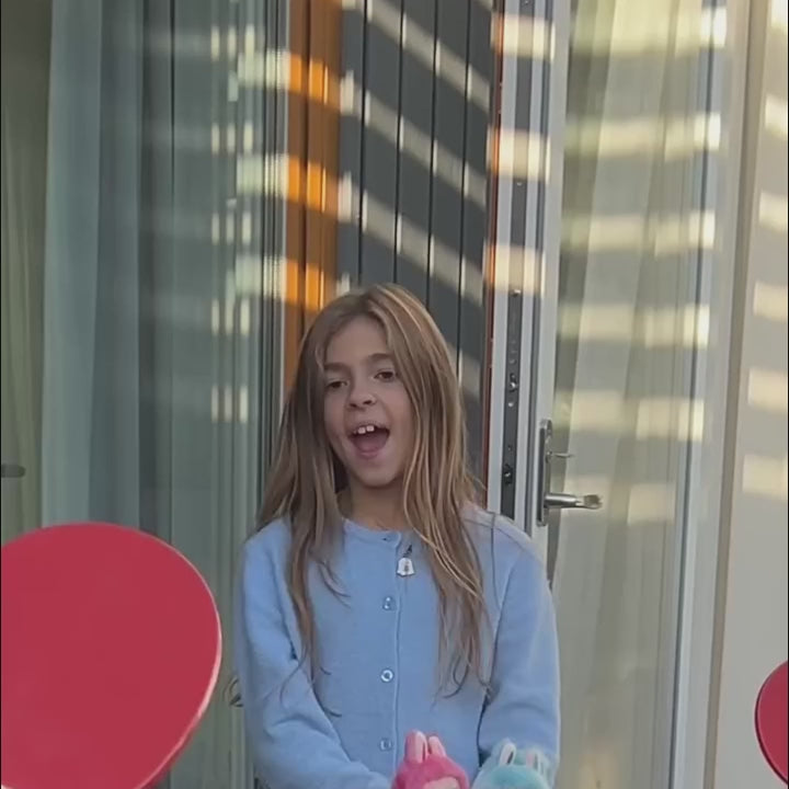 Charger la vidéo : 